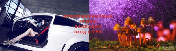 дурь Михайловка