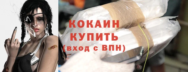 соль ск Михайлов