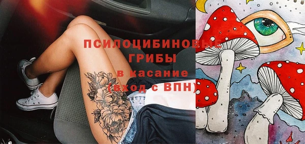 соль ск Михайлов