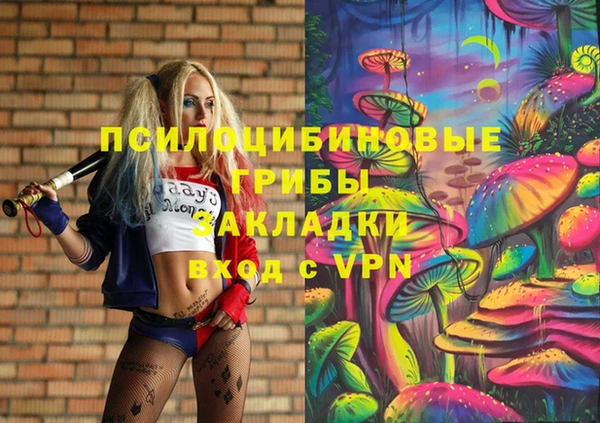 соль ск Михайлов